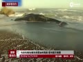ʵ15׳ǳ 봬ֻײ