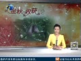 12㱨 СɿɰĴָ