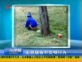 㶫糿 ᲻Ϊ