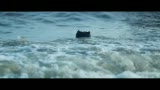 ƵEllie GouldingAbout TimeMV