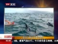 硷 ӢӾѡ㺣ӻɱ