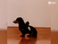 Ȯ桰ץǿɥĲ