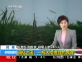 ֱ䡷 Ⱦù۲ ﹡ϵ2013