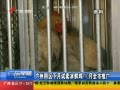 㶫糿 ʼ 10ƹ