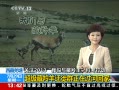 ǼǨȺڹӻؼ20130729 ֱ