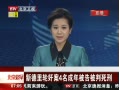 硷 µּ鰸4걻汻
