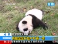 ֱ䡷 ɶ èʼһ