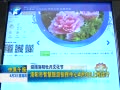 ԭ籨 ǻָ45