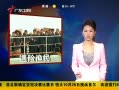㶫糿 268ɳȫ