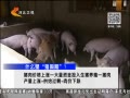 񳯡 ɢֳΪ γ