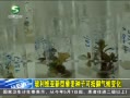 20֡ ά޼ӿɵ仯