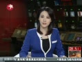  2013С㣺ɱժú