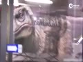 ʵİͣ ͬ±ż