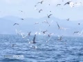 ʵļô󻢾СϽ80Ӣ߿