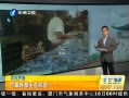 簲 ÿ