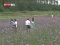 CQTVš 2014ı ŻǧԪ