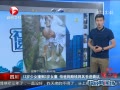 Ƶ:13Ůײ3ŮͯǮ