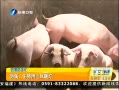 簲 Ϫϱů