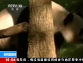 ֱ䡷 һŮְȷ