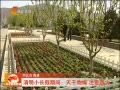 ӱ Сڼ䣺ע
