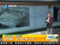 簲 ӵ飺ζĵһ