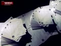 ISԱ쵼Լ ֲϢй¶