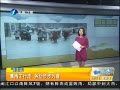 簲  زΪӪ