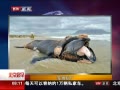 硷 ̲ʬ