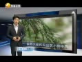 Ԥ 20131031