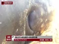 ֳӡȽͷǳ 45ͷɥɳ̲