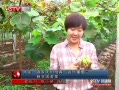 CQTVš 㣺ѻȫ