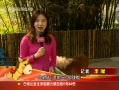 š һھֶ