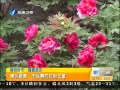 簲 ̤ࣺ۹