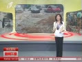 籨 ǿϮ