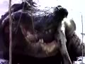 ʵɱ 㲶ɱ˺ҧС
