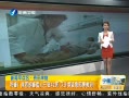 簲  42 ί