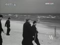 Ƶ71ëӰ
