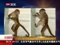 硷 ϶Ӵ͵Ǯ