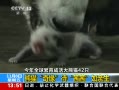 ֱ䡷 èԵ
