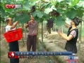 CQTVš ߵ飺ѷպתͼƻ