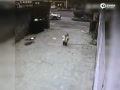 4޴ Ե