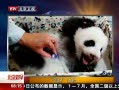 硷 Բ