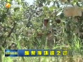 յ ˭֮