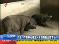 㶫糿 㶫Ϸг