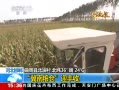 ֱ䡷 ӱӭ