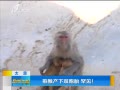 籨 ⨺˫̥ 