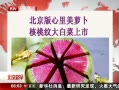 硷 ܲƴײ