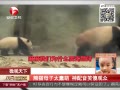 èĸӶҪ滵
