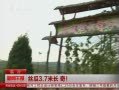 籨 ˿3.7׳