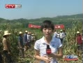 CQTVš ո ͶȤ